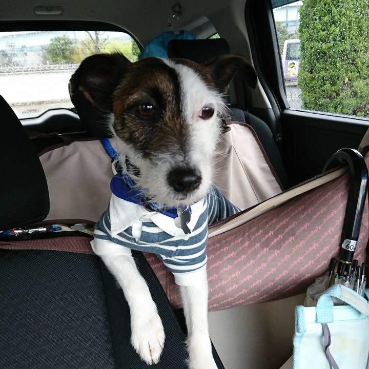 8e933cc2 a84d 4967 90a0 dcc32a88a98c