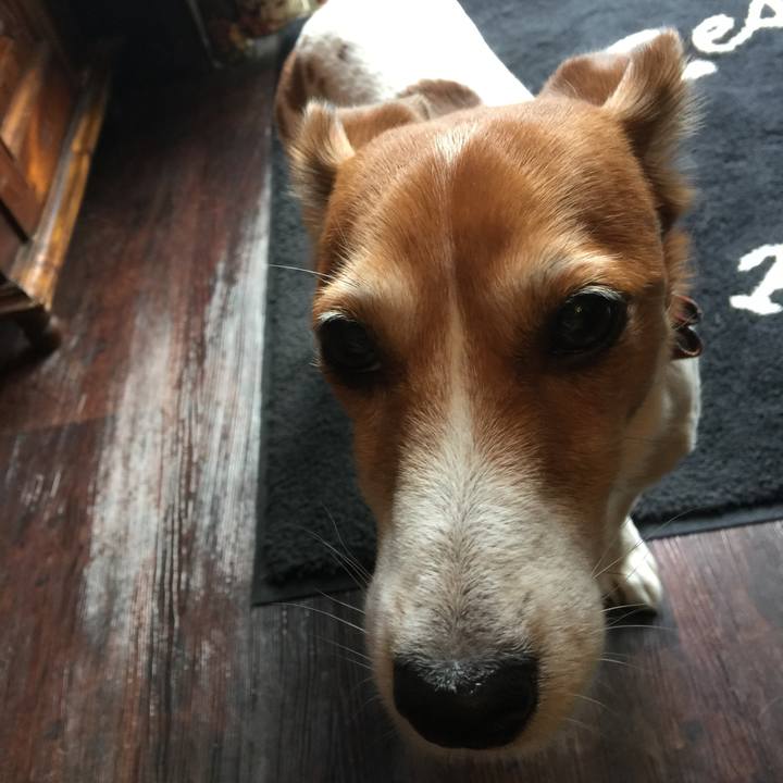 8e934e1e d920 4d3a a228 bdf844254d6b