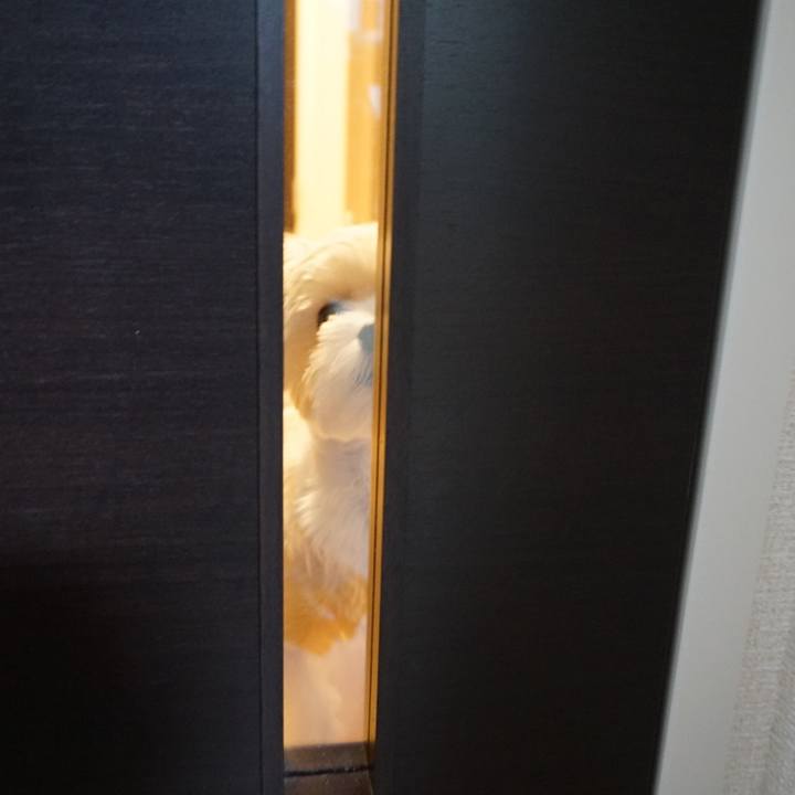 8e93b2ff fcc0 4692 8947 a4840490c7d2