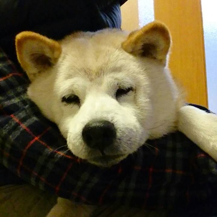 8e93bca1 1358 4d7f 8eae fc0daa44f0a1