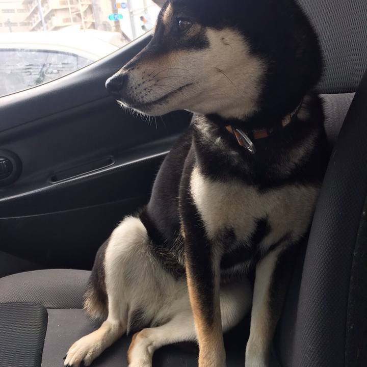 8e9404b8 17ee 415a be13 81762094b9ce