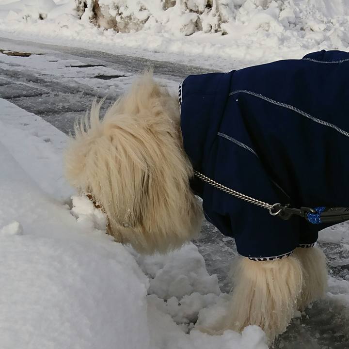 8e945ca4 02ef 4612 baa9 2b72669abef8