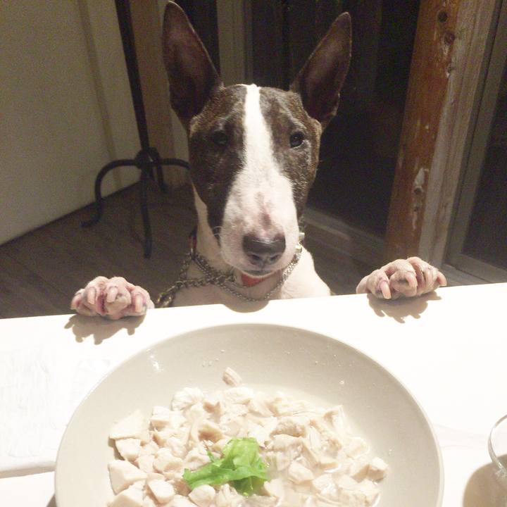 8e94974f 6315 4ece 807d d220604ca008