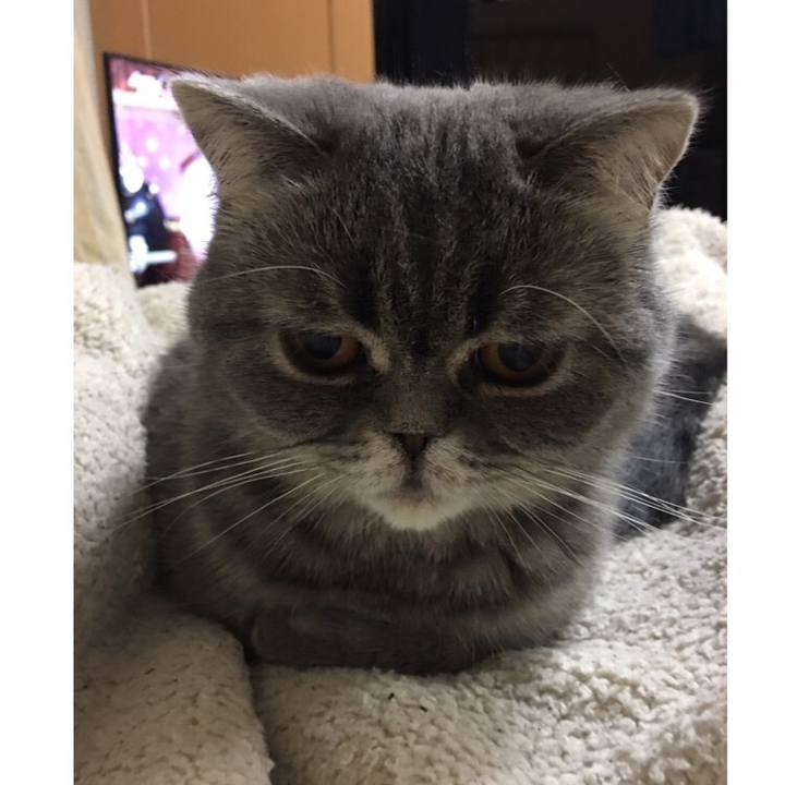 8e9701a7 2a8a 40cf adaa b2916c64bc12