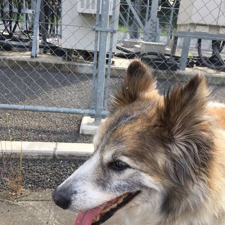 8e974f32 e78c 4403 b891 522057ffb776