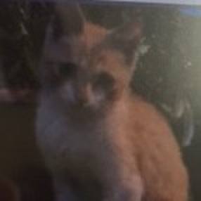 8e97a9ac 5210 49eb 9ad0 064db3a7515d