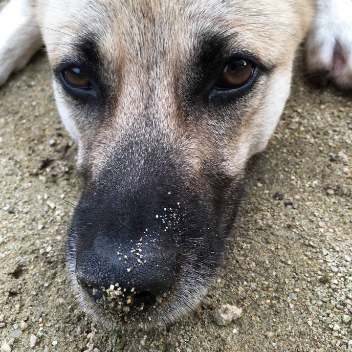 8e991186 e746 49c2 a3df b72d143e1e7c