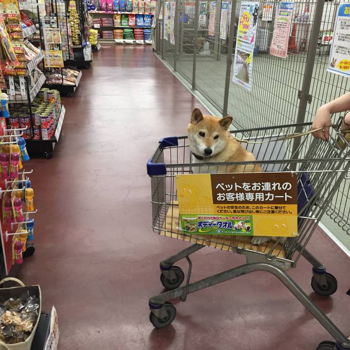 8e9a22b3 2863 49c1 8a41 a312bdda1c04