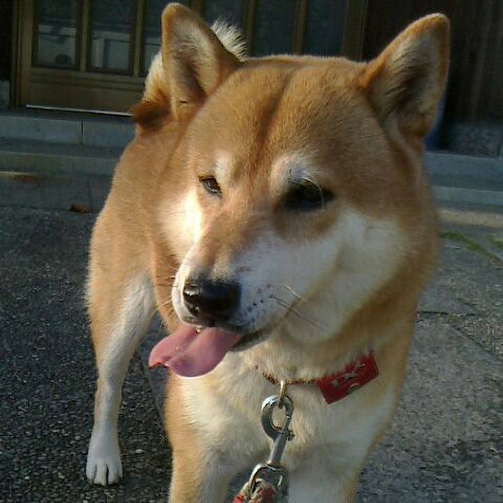 8e9a6756 66ed 42b7 8b9b 6edd1aab20a4