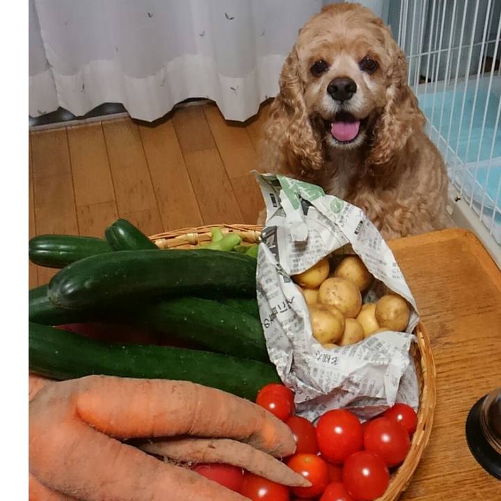 8e9ad1fe 794a 475b 8dc5 fc06652cee43