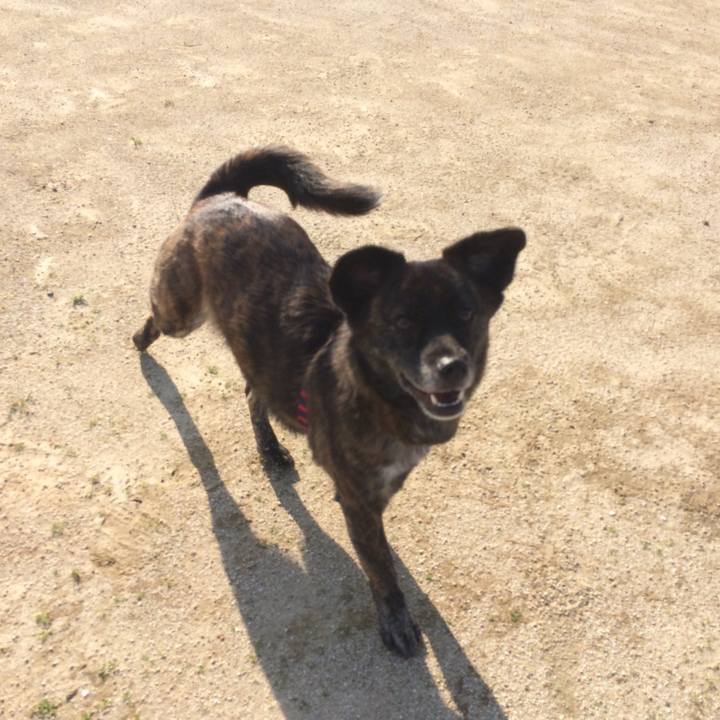 8e9b93e4 98b1 4038 895c 7e601aa78fac