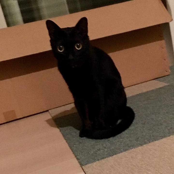 8e9c1bca be70 4f45 97e1 afb63b9ef478