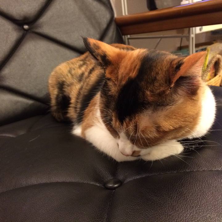 8e9c359a f872 452f a9bc 1178c334eff4