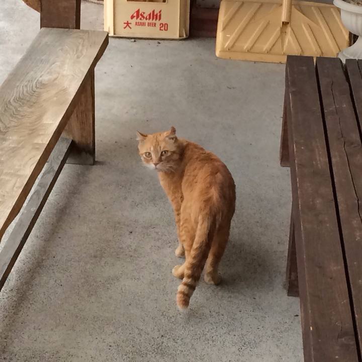 8e9caf3a 36c3 4bb5 8bb6 3de6bae57534