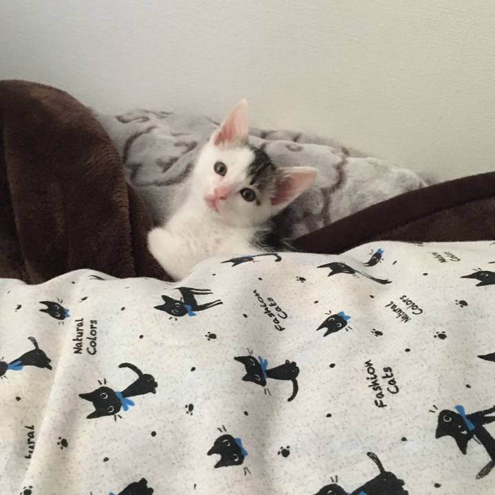 8e9d0636 808b 44bb b84f c8f80dc4256a