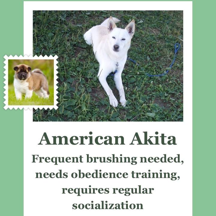 8e9e0475 aea3 4f74 84db c20c6ce49ffd