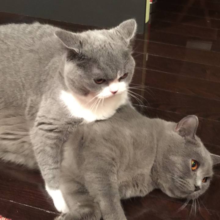 8e9e23f3 b2ee 4a69 9cc1 1f8f2d07c356