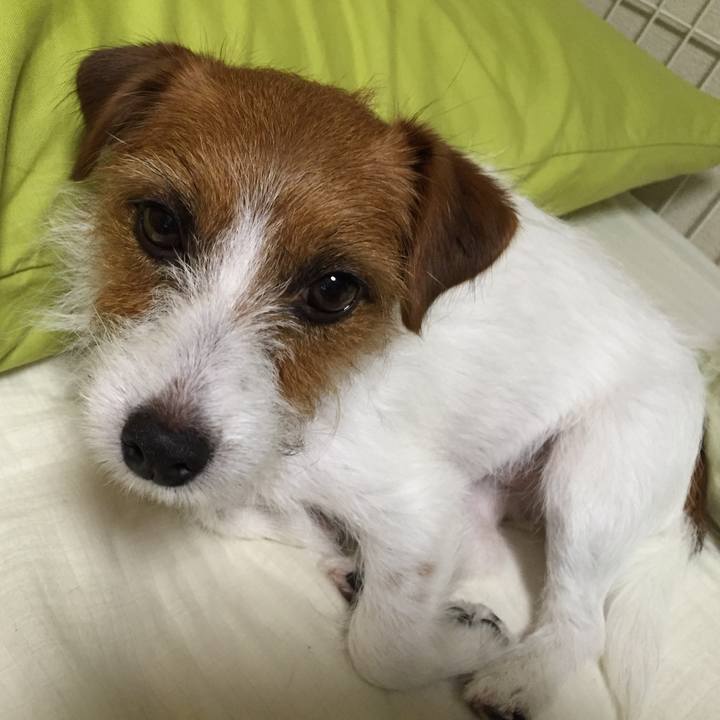 8e9e6190 a505 4822 81ad 6964a695c3c2