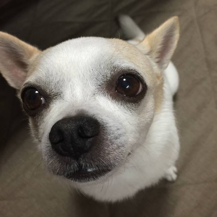 8e9ec37a 1e56 49fa b20b d7e7660c5364