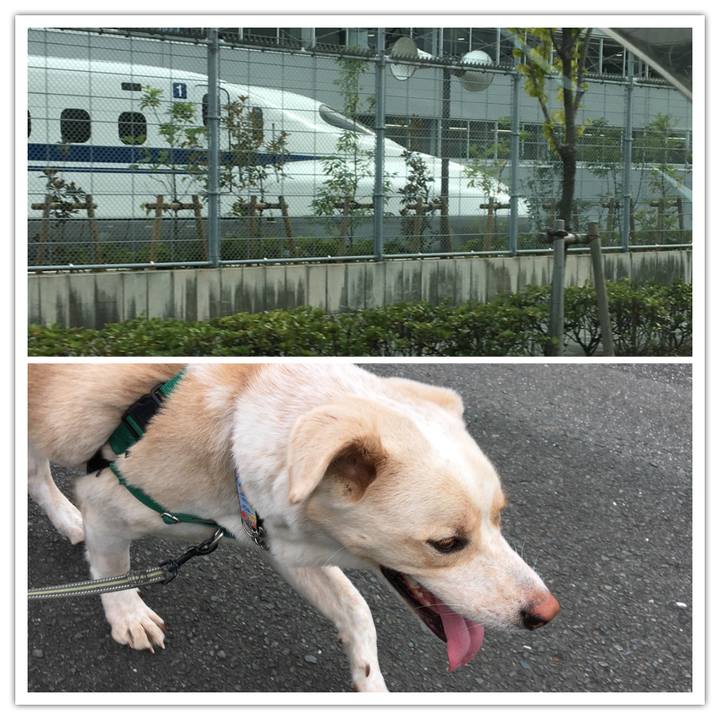 8e9eca2e 04ac 4b5f a169 000d6adf9cbc