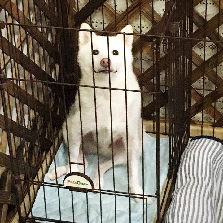 8e9ee98d a536 4af0 8e4b fc89f29d0b2b