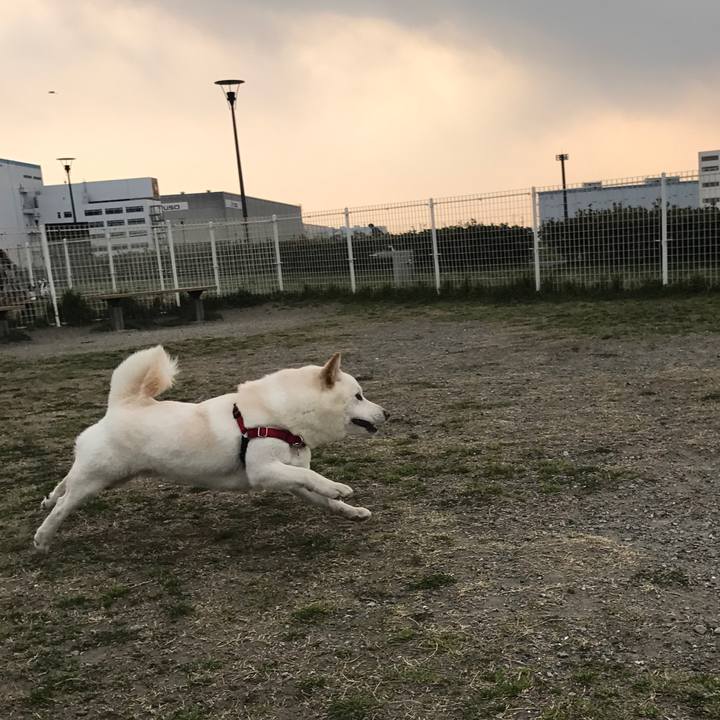 8e9f64ab 8415 47e6 8531 8168ec586a30