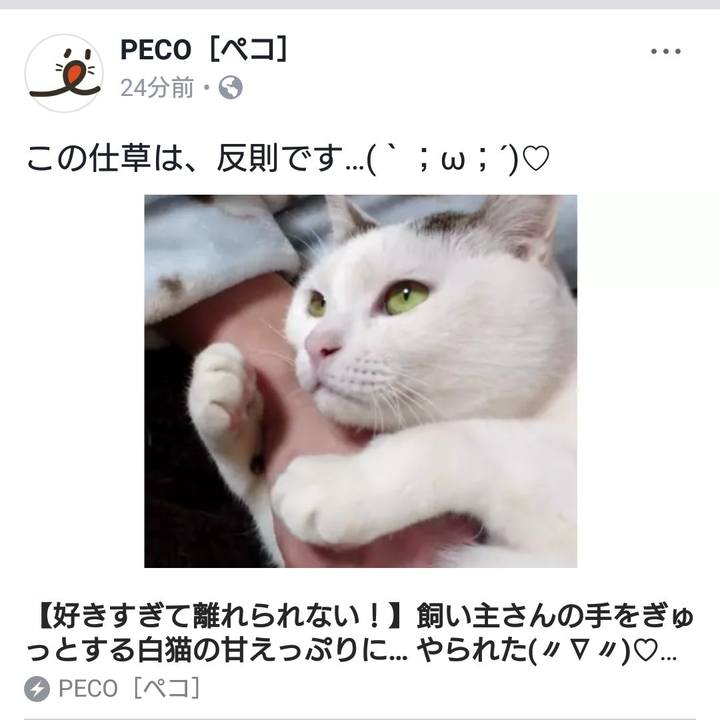 8e9fa8f8 ebdd 4881 a1f0 9fe3a2974b0d