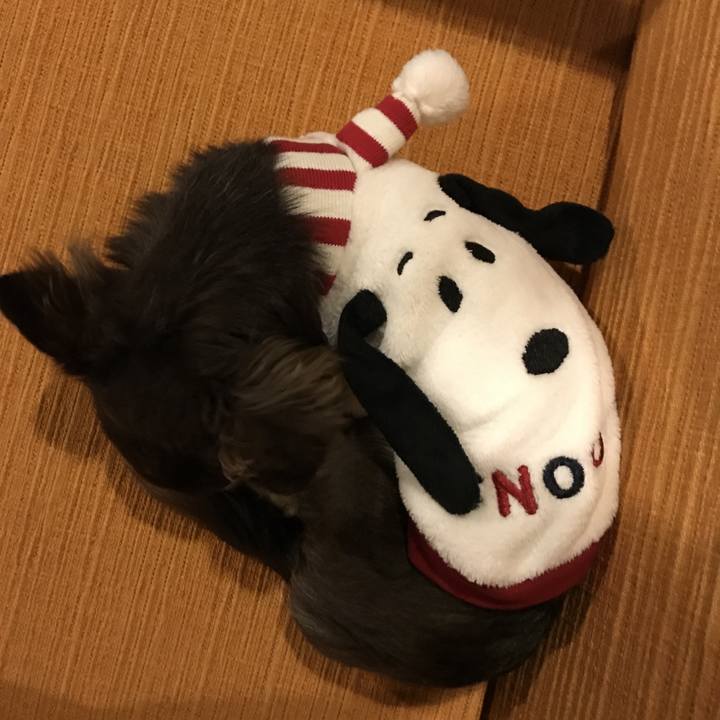 8ea006b6 fde0 4891 9f62 88ef8bb66fe1