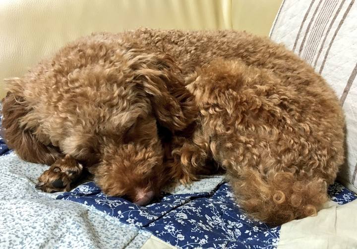 8ea04a3c 941c 4462 9eec 68df67c56925