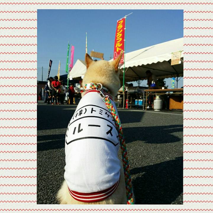 8ea05584 b2b4 4f3d a657 e5bd372be4f8