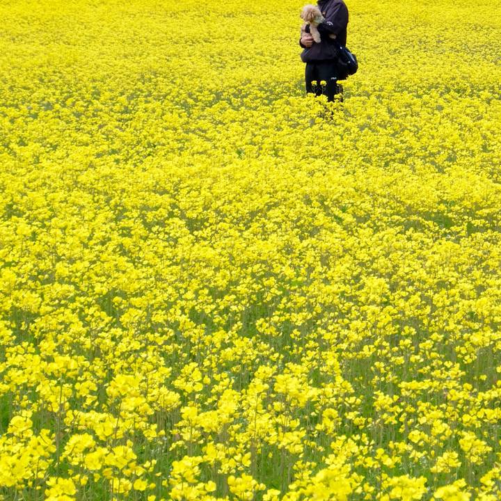 8ea0ab6a ccf7 4cef 95bc 3335ccad4e0c