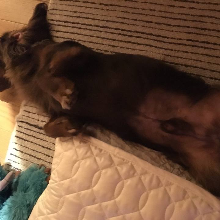 8ea0d31d 18be 460a a486 10a7abb943f1