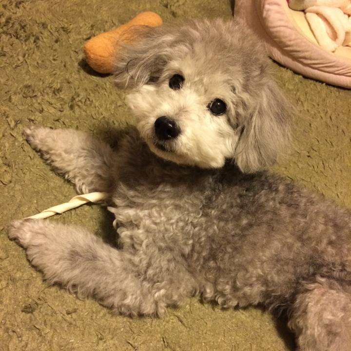 8ea0e3a1 0abd 41ef a7c1 2125d05d846a