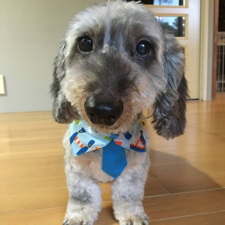 8ea144b3 383b 46c1 88d0 8a71d1447de0