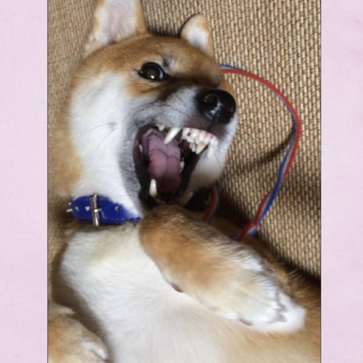 8ea150b0 c08a 4684 a81f 048d84110752