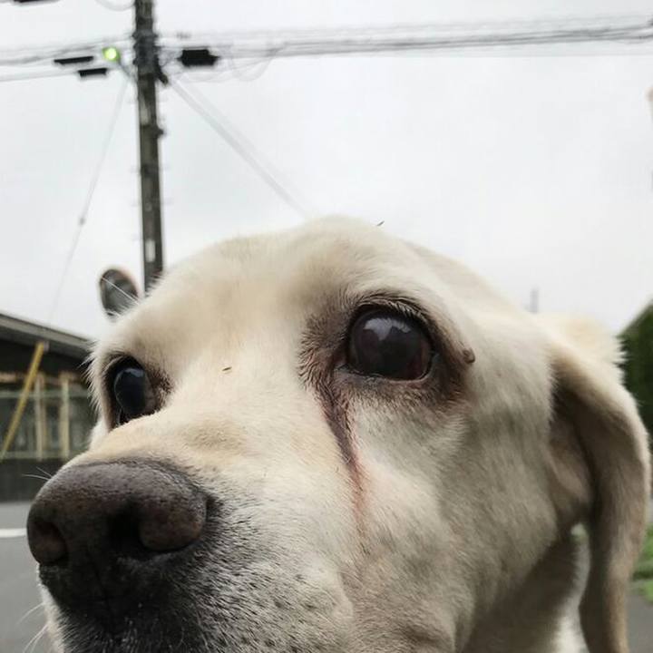 8ea1c73b 65eb 411b b5b6 f471dd982d14