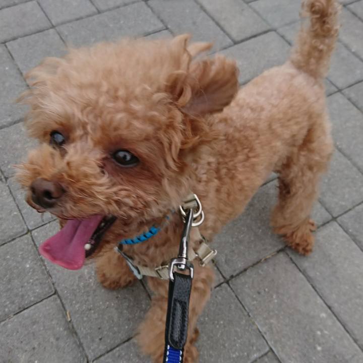 8ea1c964 dfe6 48cb a9ba 33ea3a01ab2b