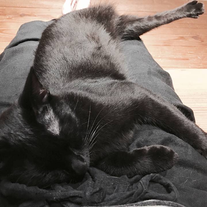 8ea2b96f 4e8d 4954 a827 7ccbf481af9a