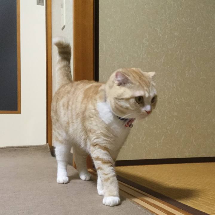 8ea30ea4 2bfe 4259 be75 da869fd84462