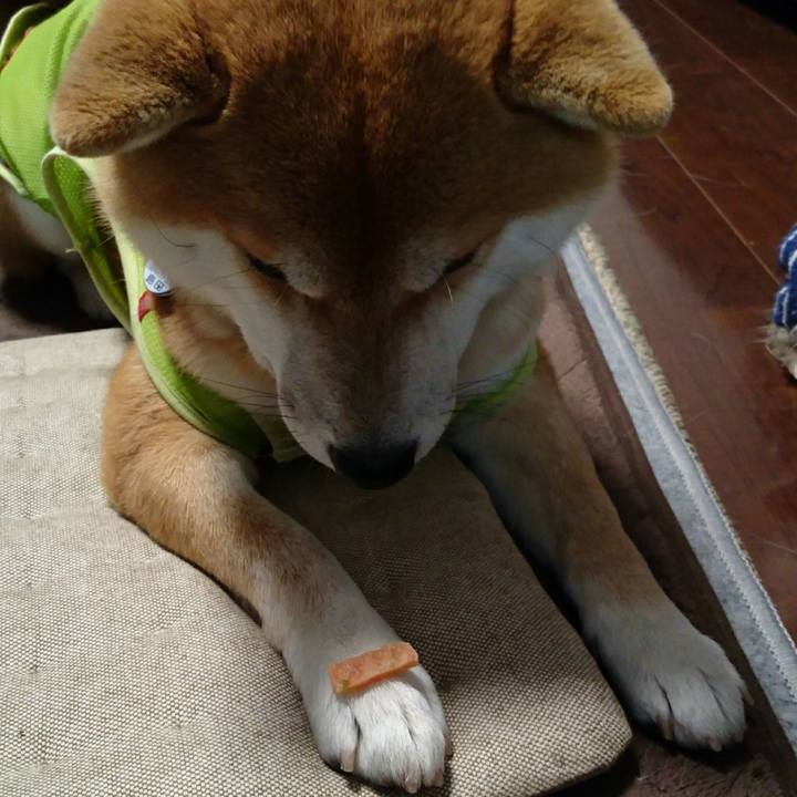 8ea3204e f89f 4fcc b3cd b317e4f68d1f