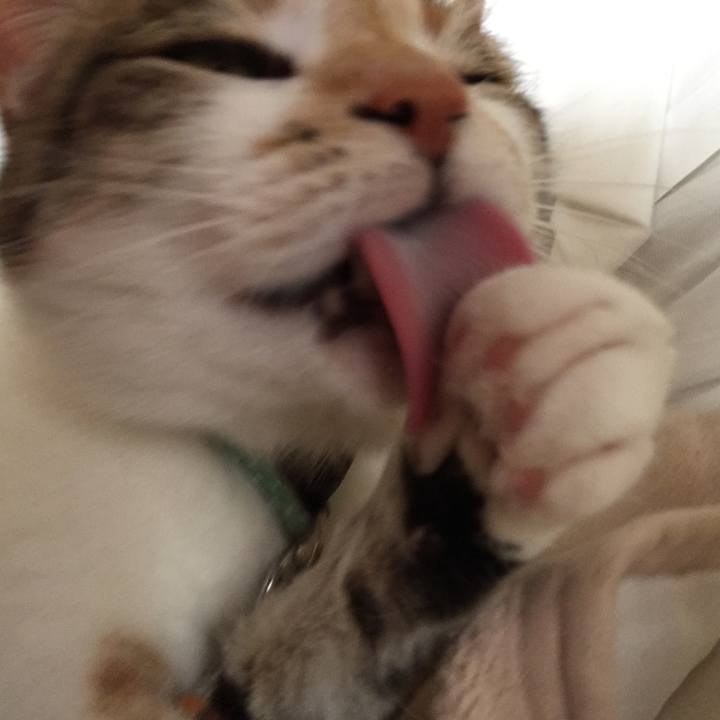 8ea377c9 267b 4686 af17 63794bc09561