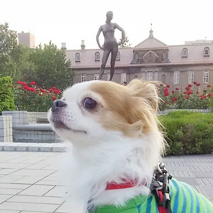 8ea3a51b 5030 4e93 8e2b f2a1bbfd8eb8