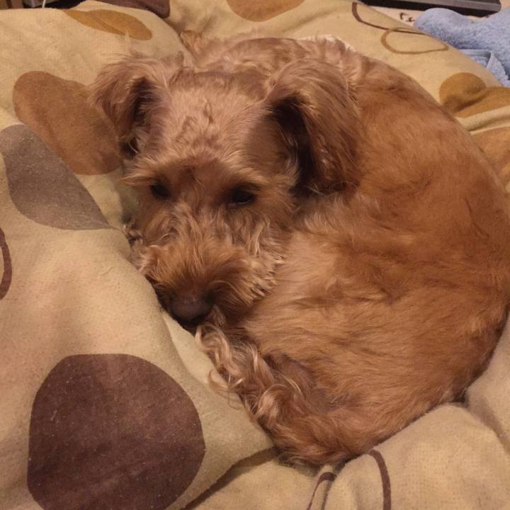 8ea40d45 fbb6 4262 b6e3 3d08136369e8