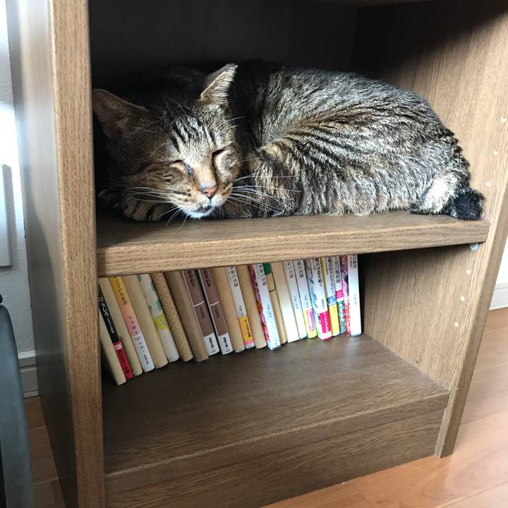 8ea41da3 f810 4b7f b293 cc3fab835089