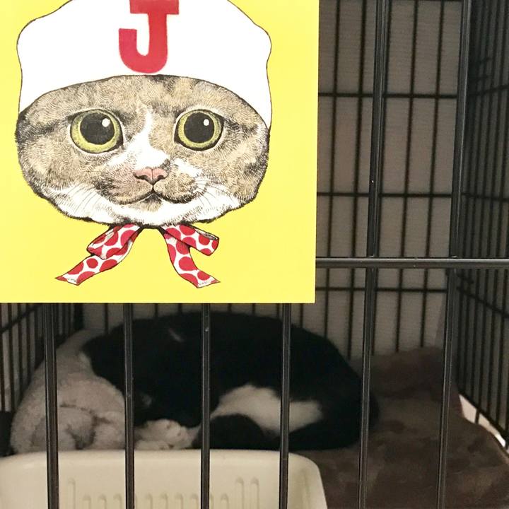 8ea436d8 d7ce 4575 aa33 e83b8d2b47d7