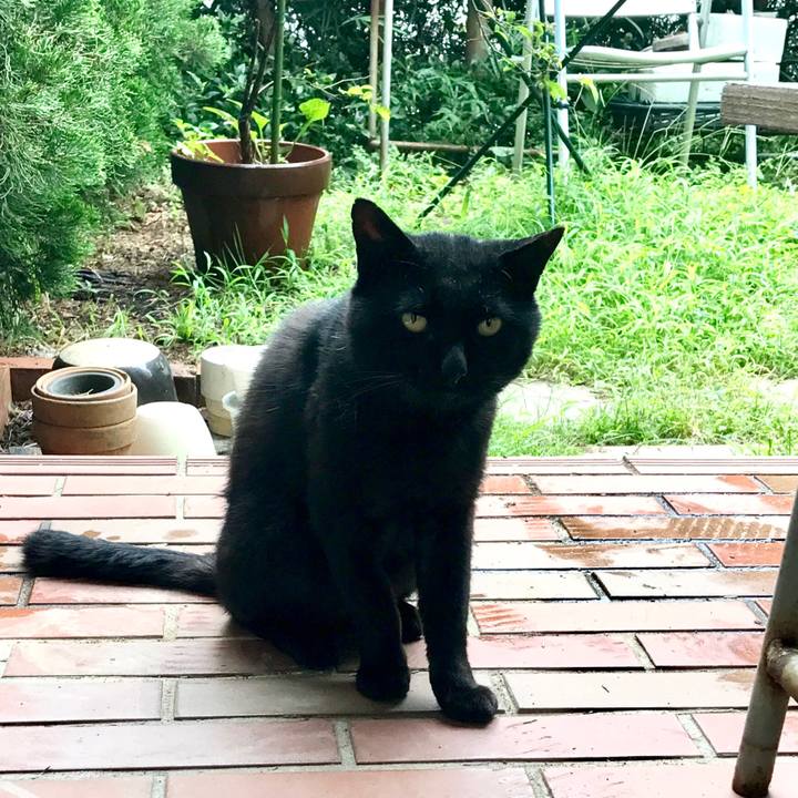 8ea507d1 5138 40d4 bb19 b023f62fc0ba