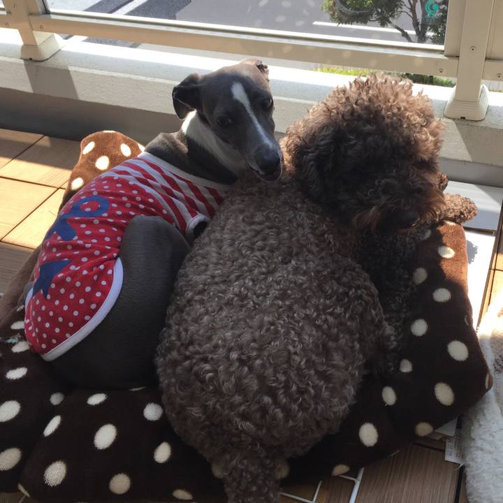 8ea59d76 7e7f 40d4 8ad9 ccb8241d9ac2