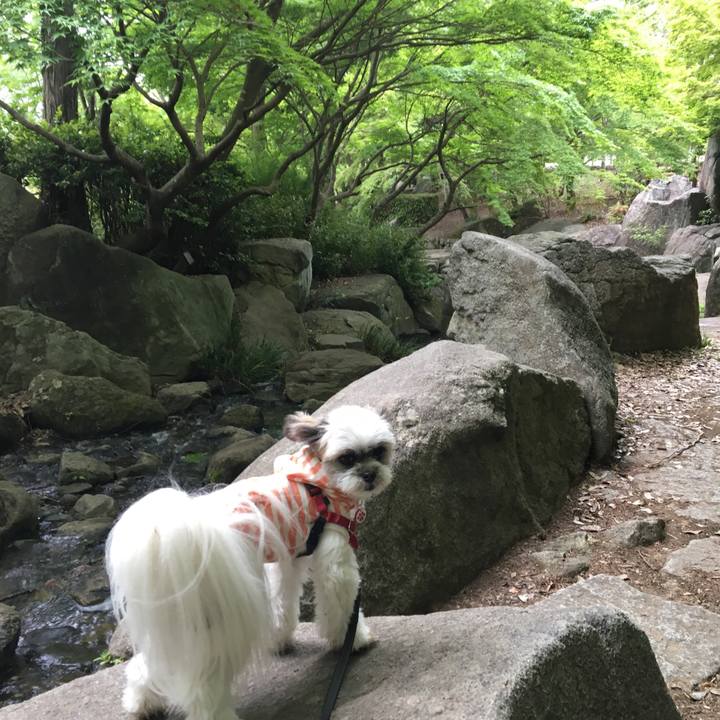 8ea6010e fcdc 491c 8837 67c5f58ff99f