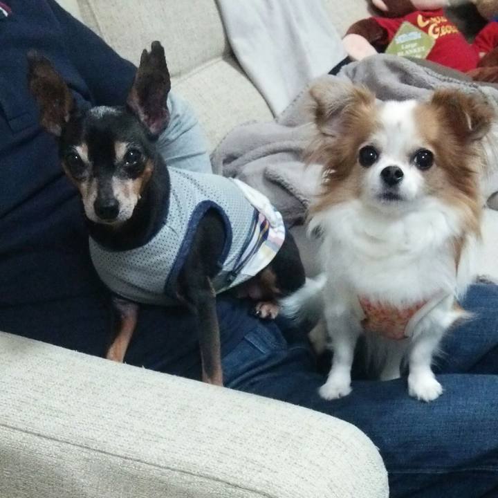 8ea633c9 8728 4f95 ae77 847d7d7ab0a3