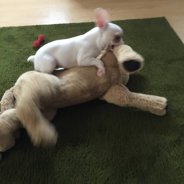 8ea650e4 1c45 4922 84aa 9e2d42f9c9ad